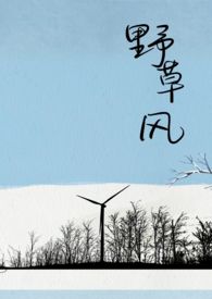 野草莓视频